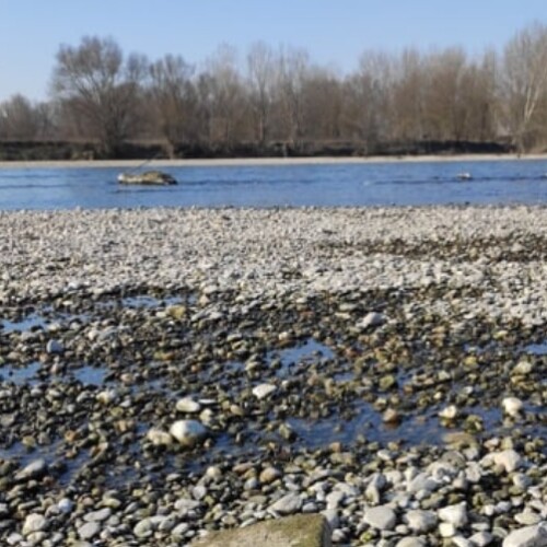 Piogge sotto la media e caldo “anomalo”. A Isola Sant’Antonio il Po mai così basso nel mese di febbraio