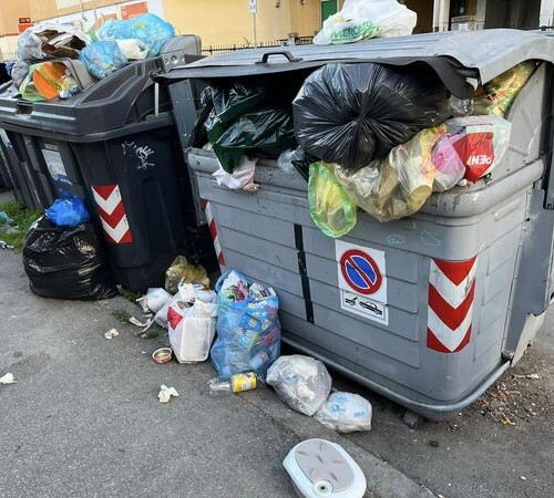 Roggero contro il degrado urbano: “Da Alessandria davvero vostra a davvero sporca il passo è breve”