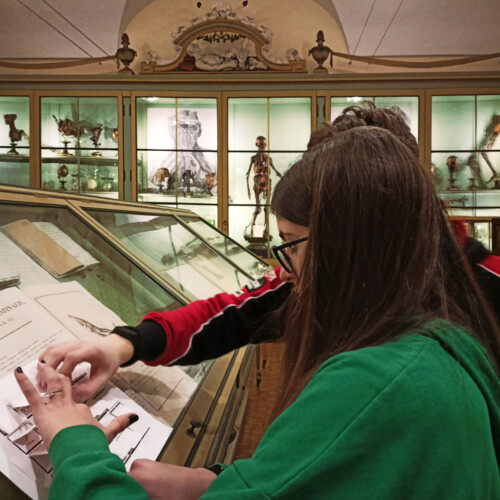 Al Museo per la Storia di Pavia gli eventi finali dei progetti PCTO