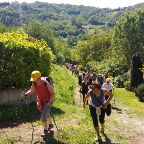 Lunedì primo maggio trekking ad anello sulle cime di Mombello