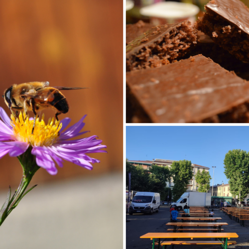Cosa fare in provincia di Pavia. Gli eventi di domenica 16 aprile