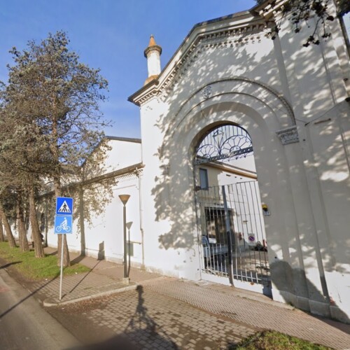 Comune taglia 14 cipressi davanti al cimitero: “Instabili e a rischio caduta”