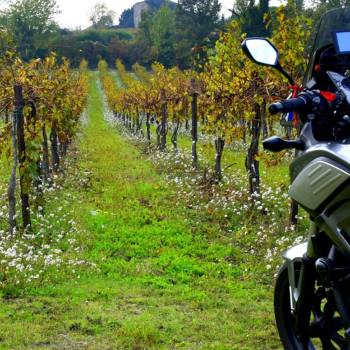 Oltrepò Pavese in moto da scoprire tra castelli e panorami incantati