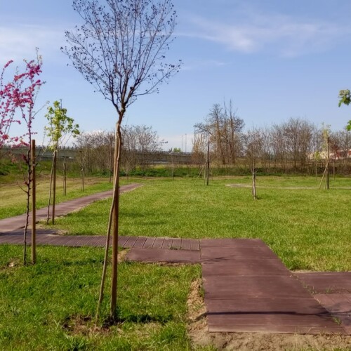 Ad Alessandria inaugurata la pista del Bosco del Sole, accessibile alle persone con disabilità