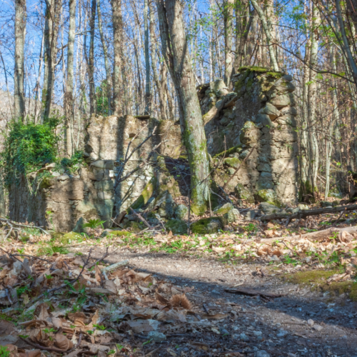 Il Sentiero delle Carbonaie, un angolo di bellezza in Val di Nizza