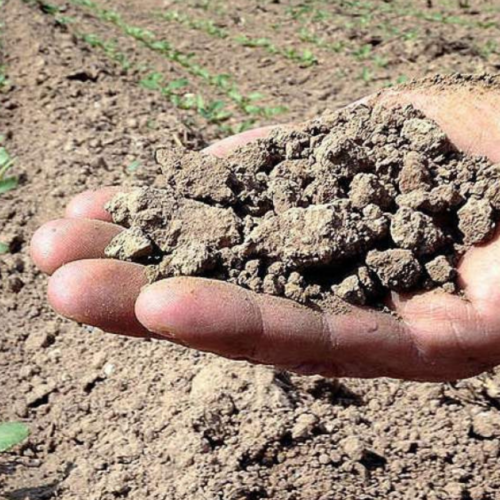 Anbi rinvia la stagione irrigua in Lombardia a causa della siccità