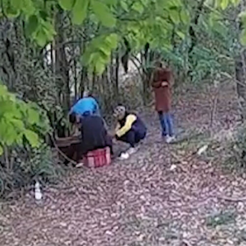 Spaccio di droga nei boschi di Castellazzo e Predosa vicino alla A26: maxi operazione della Squadra Mobile