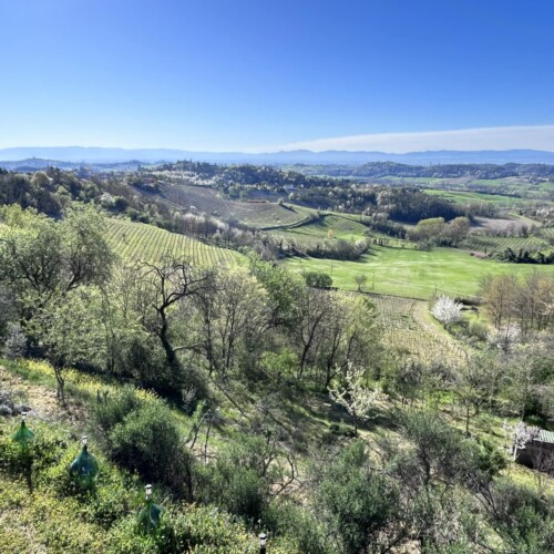 Il Monferrato dal cielo e il cielo del Monferrato: per tre mesi a Vignale una mostra di scatti d’autore
