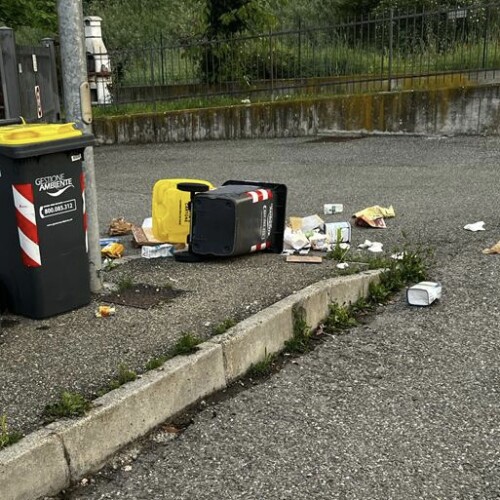 Nuova modalità di raccolta in alcune vie di Tortona per arginare i cinghiali