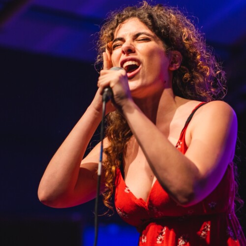 Martedì 23 maggio al Teatro Sociale di Valenza si ride con “Irresistibile”