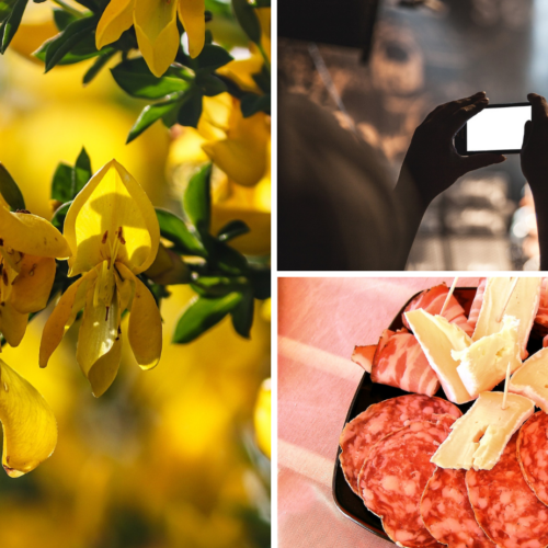 Cosa fare in provincia di Pavia. Gli eventi di sabato 13 maggio