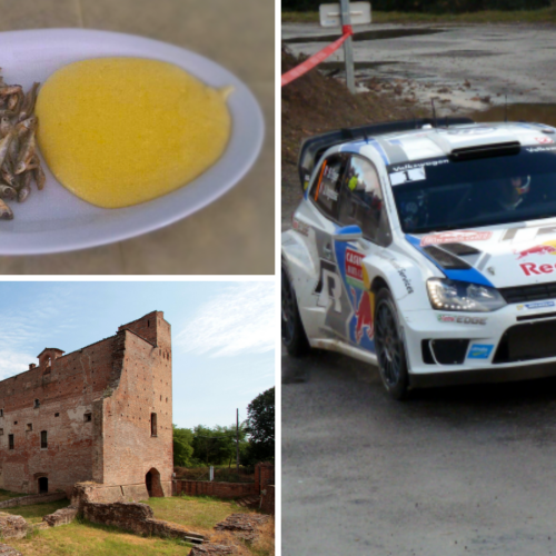 Cosa fare in provincia di Pavia. Gli eventi di sabato 27 maggio