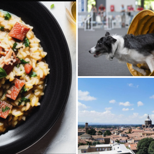 Cosa fare in provincia di Pavia. Gli eventi di domenica 28 maggio
