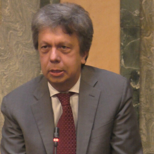 Ad Alessandria multe per erbacce tra muro e marciapiede. Non tutta la maggioranza vota sì: Ivaldi si astiene