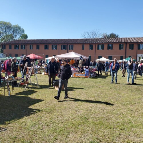 Il Mercatino del Ri-Uso torna a Pavia: un’opportunità unica per la sostenibilità e il riutilizzo