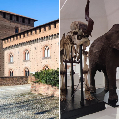 Visite guidate al Castello Visconteo e a Kosmos per la Notte dei Musei a Pavia