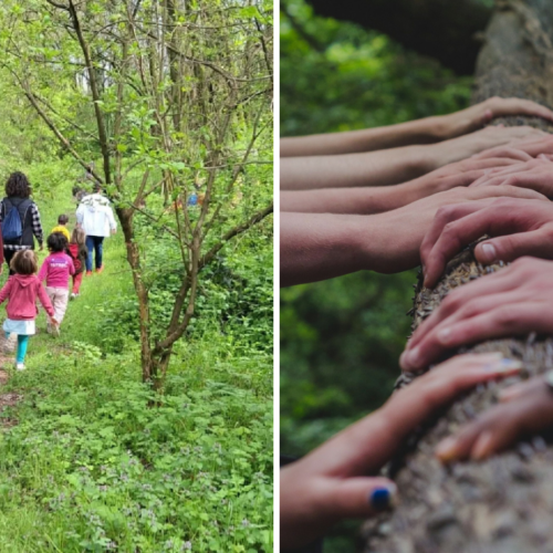 Festa delle Oasi Lipu tra natura e divertimento in provincia di Pavia