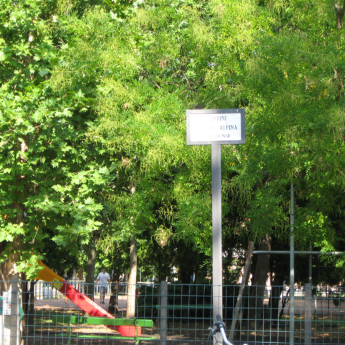 Casale vuole diventare più bella con l’aiuto di cittadini e imprese: ecco “AdottiAmo”