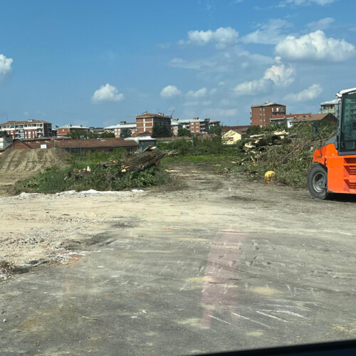 “C’era una volta un boschetto”: la delusione dei cittadini per nuovi alberi persi