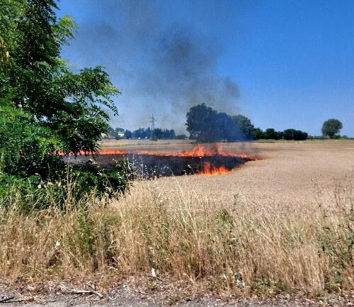 A fuoco un campo a Valmadonna: i Vigili del Fuoco sedano il rogo