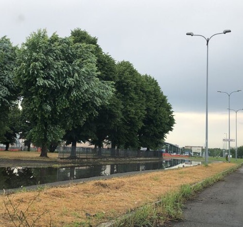 Maltempo ad Alessandria: oltre cento chiamate ai Vigili del Fuoco per allagamenti