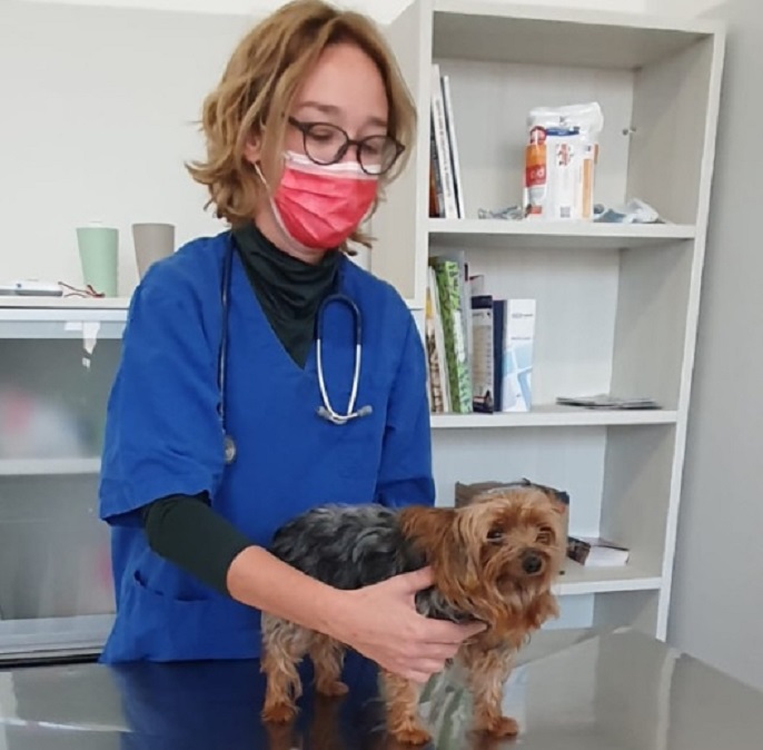 All’Ambulatorio Veterinario di Alessandria prevenzione contro la leishmaniosi e la filariosi cardiopolmonare