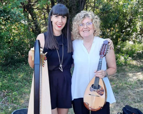 Le arpe protagoniste al gattile di Alessandria