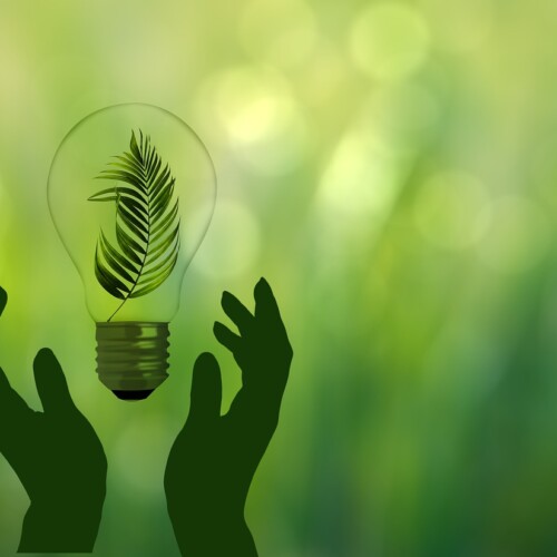 Verso Fabbrica Sostenibile 2023: imprese e sostenibilità plastica