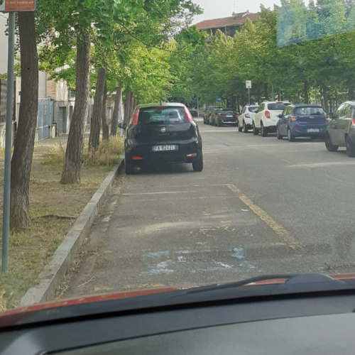 “A Valenza posteggi a strisce gialle lasciati all’incuria”: lo sfogo di una lettrice con disabilità