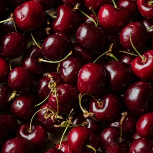 A Cereseto dal 2 al 4 giugno arriva la Festa delle ciliegie