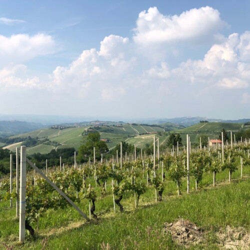 In Piemonte decolla il turismo: oltre 670 mila presenze nel 2022 nell’Alessandrino