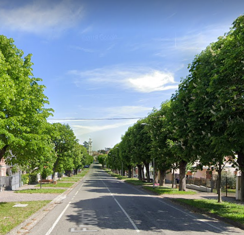 Rovescala: Legambiente si oppone all’abbattimento degli alberi