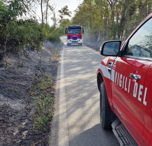 Circoscritto l’incendio divampato nelle campagne di Novi