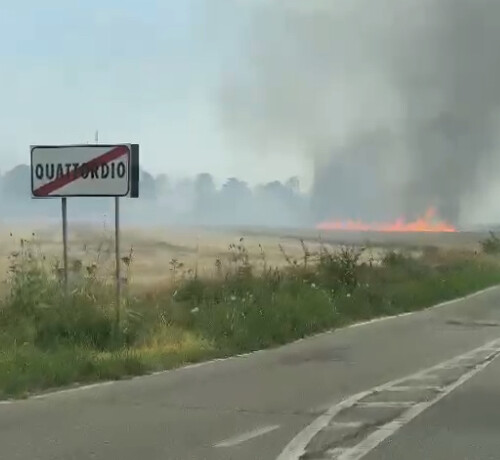 Spento il vasto incendio in un campo tra Quattordio e Masio: terminato l’intervento dei Vigili del Fuoco