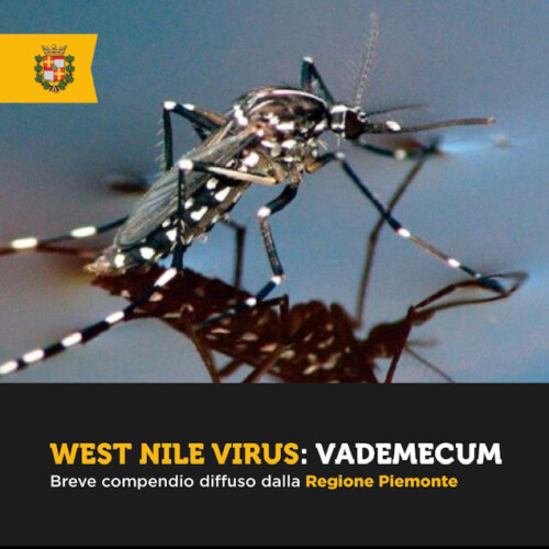 West Nile Virus: sul sito del Comune di Casale il Vademecum pe ridurre il rischio di contagio