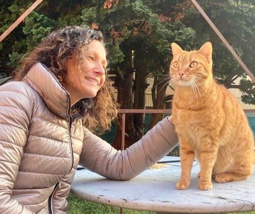 Anagrafe felina: dalla Regione Piemonte 100 mila euro per “essere sempre più pet friendly”