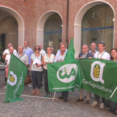 Prezzo del grano: ancora stop alle rilevazioni in Borsa Merci