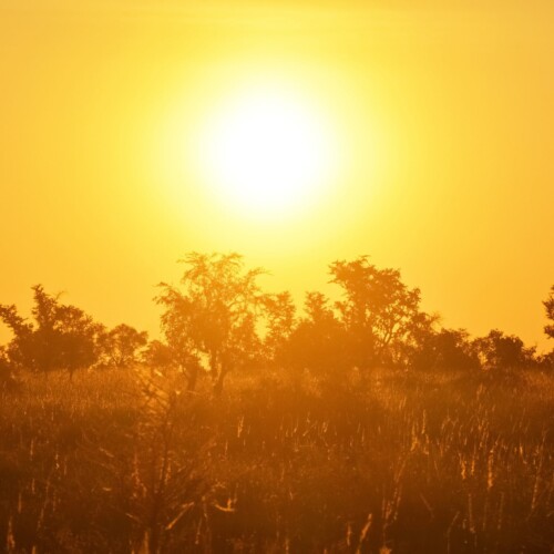 Ancora caldo in provincia: massime intorno ai 33 gradi e domenica rischio remoto di temporali