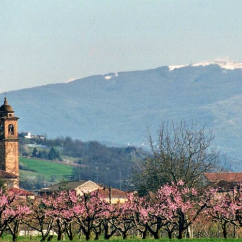 La gestione “virtuosa”, “sostenibile” e “condivisa” di Volpedo e Gamalero, le due Spighe Verdi della provincia di Alessandria