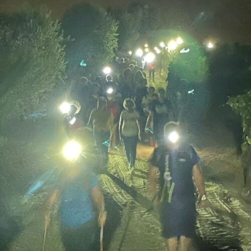 Una passeggiata notturna e poi le stelle cadenti da osservare dal monte Uliveto