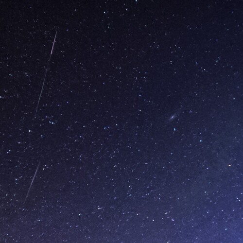 Stelle cadenti e come trovarle: i consigli degli astrofili