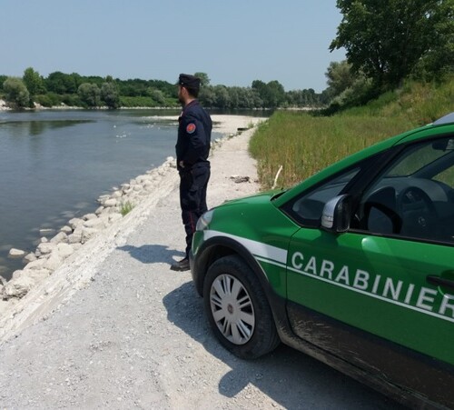 Prelievo abusivo d’acqua dal rio Gattola a Frassineto Po: sanzionato titolare azienda agricola