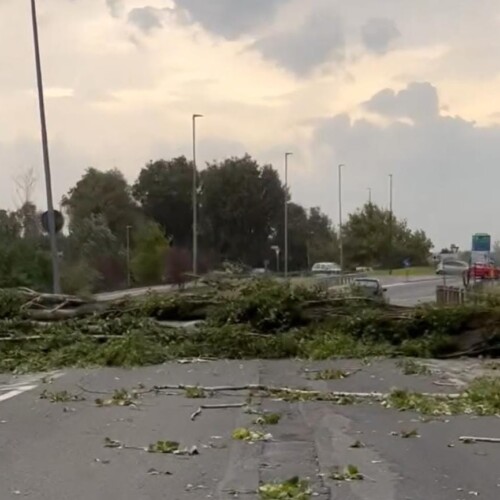 Maltempo nel Pavese: tanti alberi caduti a causa delle raffiche di vento