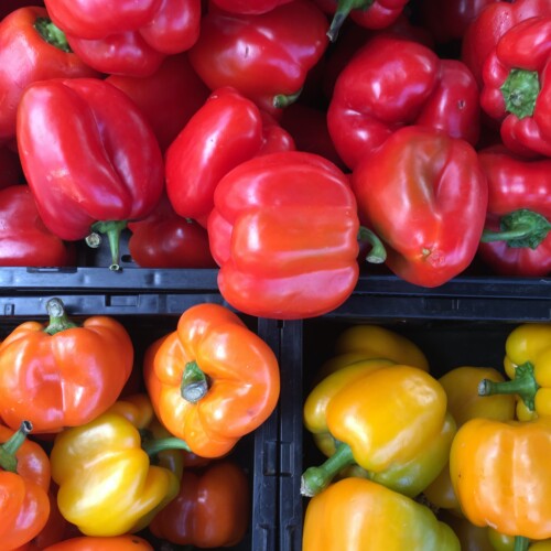 Dal 24 al 27 agosto arriva la Sagra del Peperone a Frassineto Po