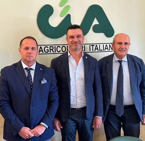 Peste suina: “Situazione gravissima, agire concretamente prima del blocco dei salumi nazionali”