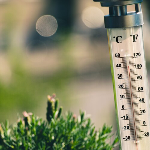 Caldo: giovedì punte di 42 gradi in provincia di Alessandria, la più calda del Piemonte