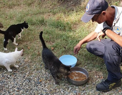 Emergenza idrica nell’Acquese: Protezione Civile fornisce acqua alla colonia felina di Acqui