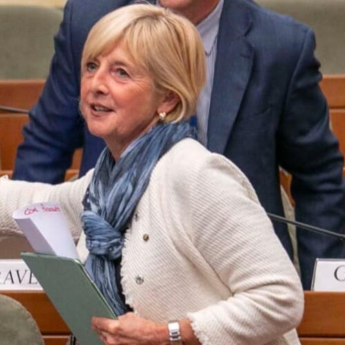 Stop diesel euro 5, Accossato (Liberi Uguali Verdi): “Pasticcio del centrodestra, alla fine pagheranno i cittadini”