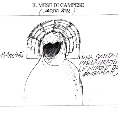 Le vignette di agosto firmate dall’artista valenzano Ezio Campese