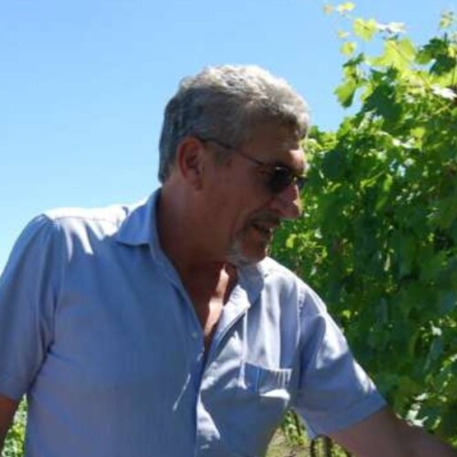 Il mondo del vino dà l’ultimo saluto a Domenico Ravizza